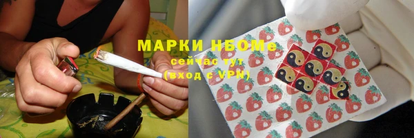 индика Алзамай