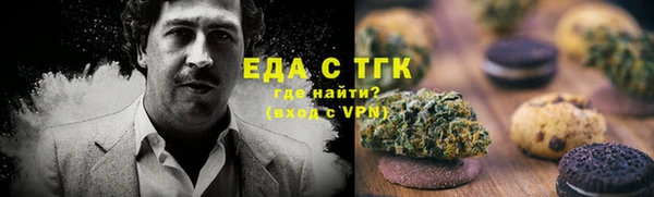 индика Алзамай