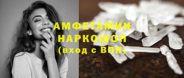 индика Алзамай