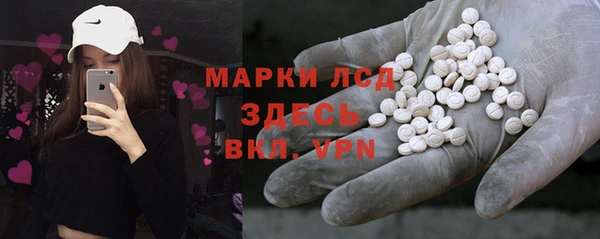 индика Алзамай