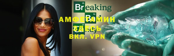 индика Алзамай