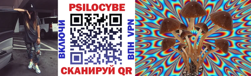 Купить  Печоры  Псилоцибиновые грибы GOLDEN TEACHER 
